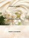 Спрей для тела Darling Vanilla Jasmine Fragrance Mist 250 мл 008653 фото 2