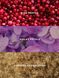 Міст для тіла Sweet Sugared Violet 250мл 643633 фото 2