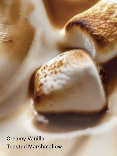 Мист для тела Bare Vanilla Brulee 250мл 8546 фото