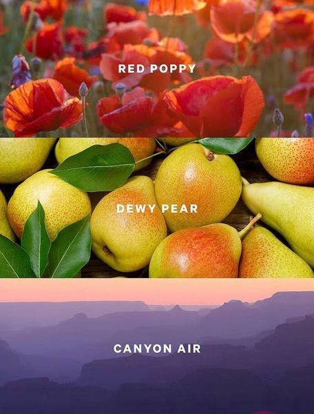 Міст для тіла Canyon Blooms 250мл 34756 фото