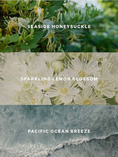 Лосьон для тела Coastal Blooms Fragrance Lotion 51-6533 фото