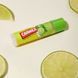 Зволожувальний бальзам-стік для губ Carmex Moisturising Lip Balm Lime, SPF 15, 4.25 г CRMX-LB-L-04 фото 2